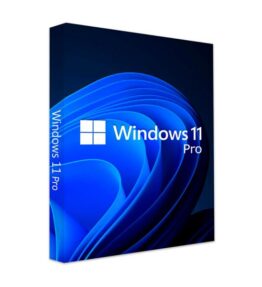 WINDOWS 11 PRO DESCARGA