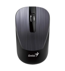 MOUSE GENIUS RS2 NX-7015 IRON GRIS 31030019400