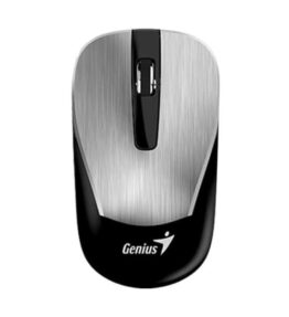 MOUSE GENIUS RS2 NX-7015 SILVER 31030019404