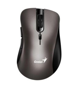 MOUSE GENIUS RS2 ERGO 8100S CHAMPAGNE TITANIUM 31030040402